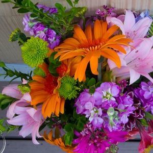 Meet your Posher, Mary